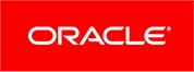 Oracle Punchout Logo